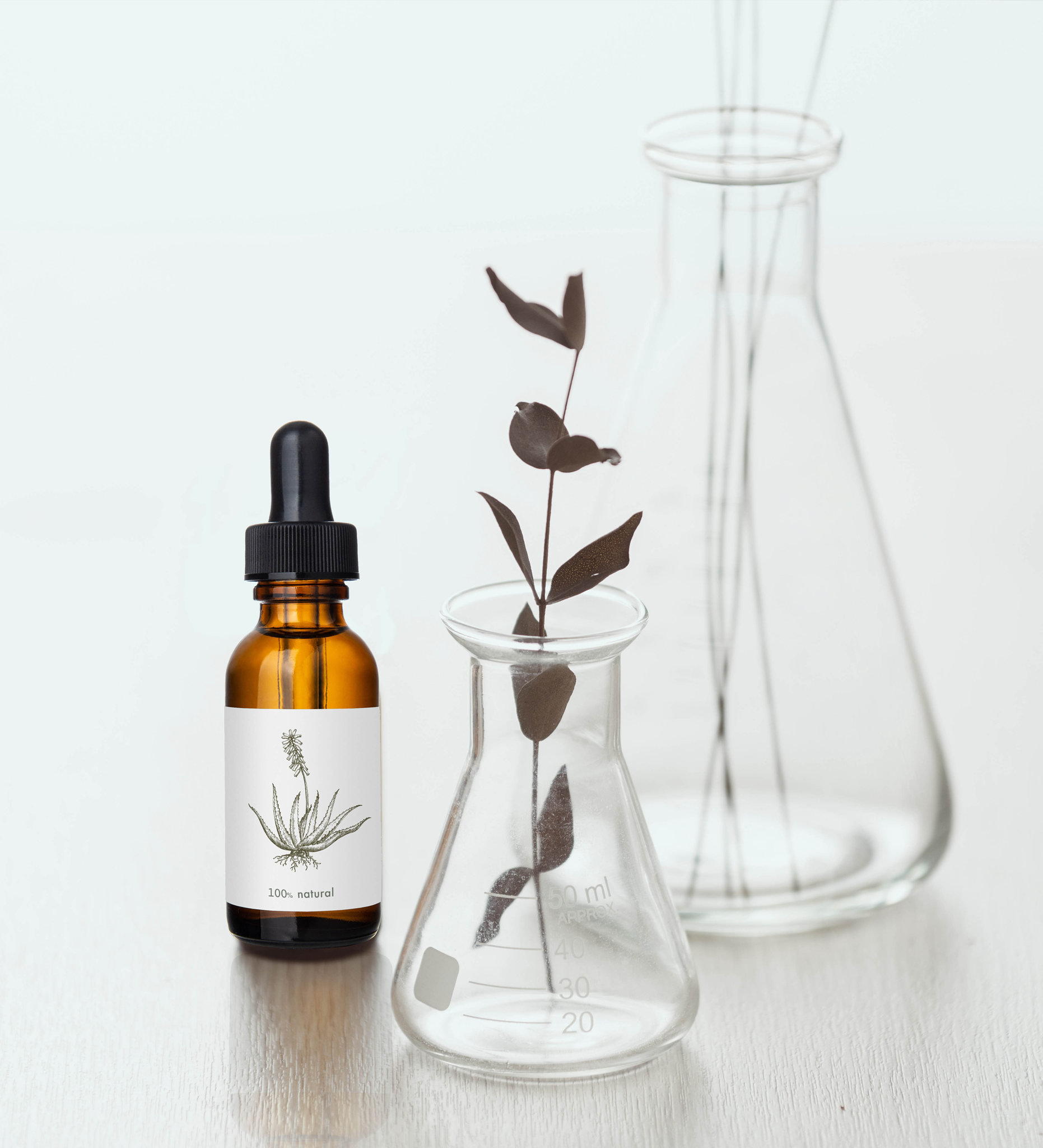 株式会社フランキンセンス｜Frankincense